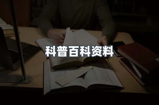 外文电子书系列